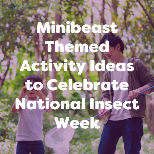 Minibeast Themed Activity Ideas to Celebrate National Insect Week