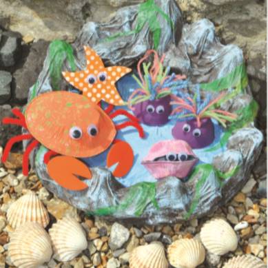 Rock Pool – Summer Crafts