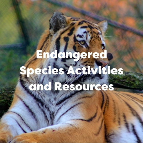 Endangered Species Day Activities and Resources