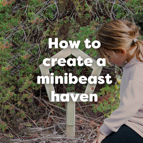 How to make a minibeast hotel