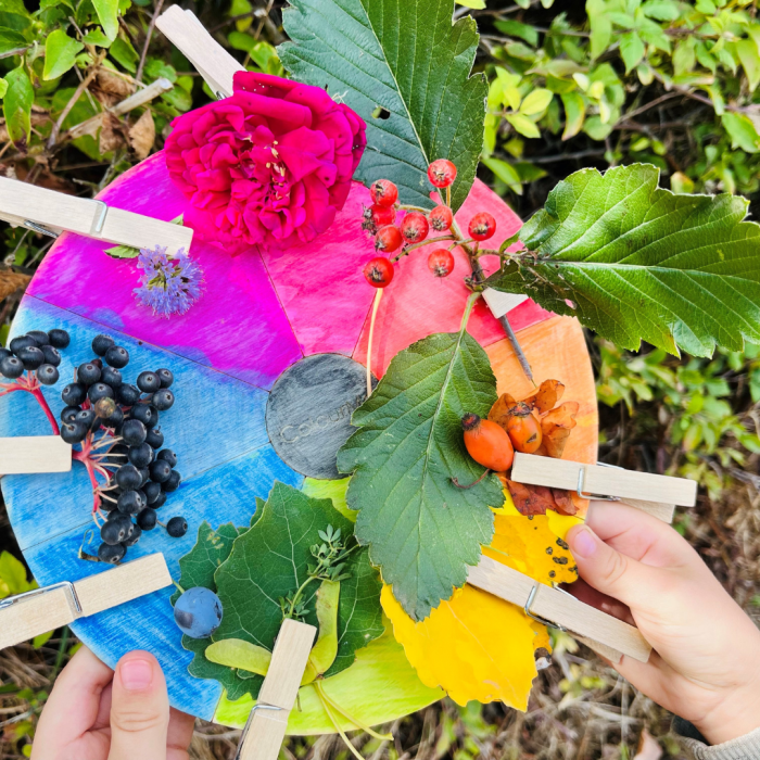 Makeshift colour wheel with natural resources pegged to the correct colours