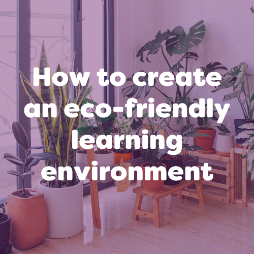 How to create an eco-friendly classroom