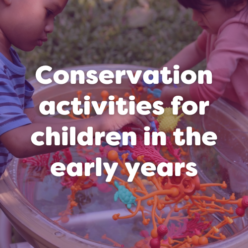 Conservation Classroom Activities For Early Years